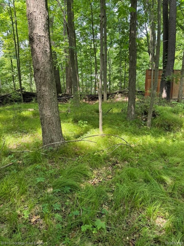 5550 Fisher Rd, Howell, MI 48855
