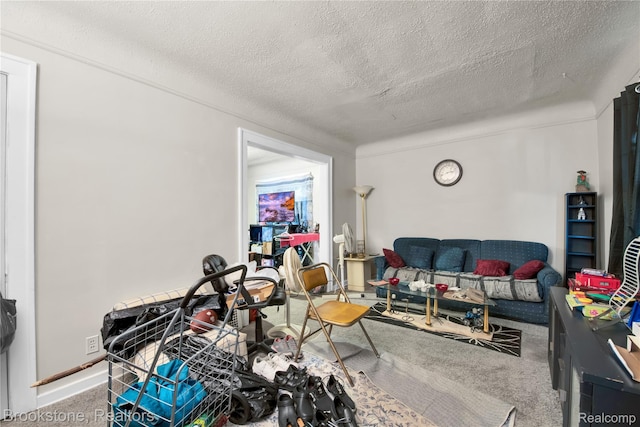13528 Ardmore St, Detroit, MI 48227 - carpeted living area featuring a textured ceiling