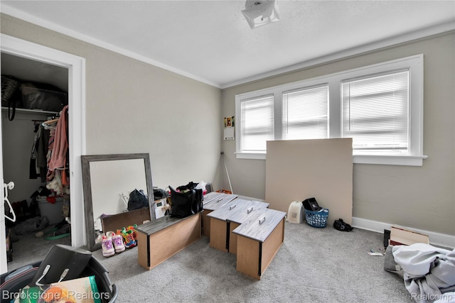 13528 Ardmore St, Detroit, MI 48227 - bedroom with carpet flooring, a walk in closet, and crown molding