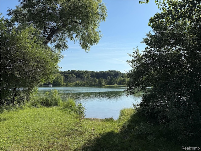 LOT126 Deerhill Dr, Clarkston, MI 48346 - photo 19