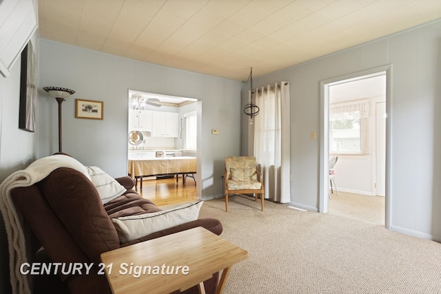 209 3rd St, Linwood, MI 48634 - living room with light carpet