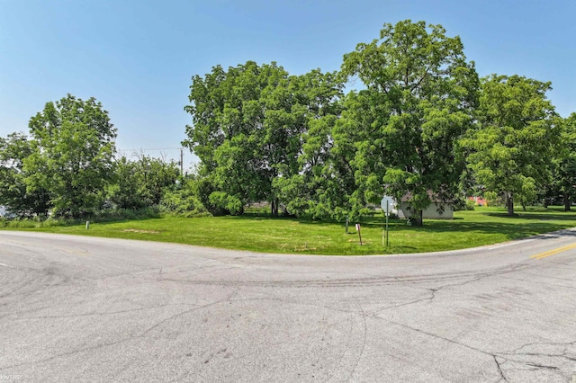 8921 Van Cleve Rd, Vassar, MI 48768 - view of asphalt road with view of wooded area