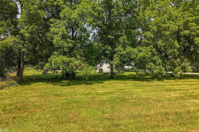 8921 Van Cleve Rd, Vassar, MI 48768 - view of yard