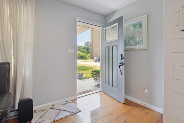 10999 M 140, Niles, MI 49120 - foyer entrance featuring light wood finished floors and baseboards