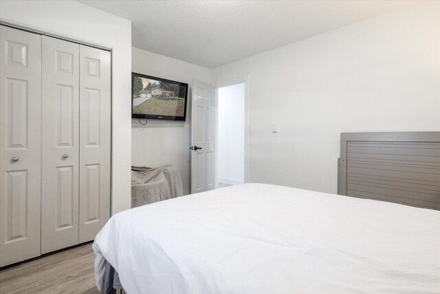 10999 M 140, Niles, MI 49120 - bedroom featuring light wood-type flooring and a closet