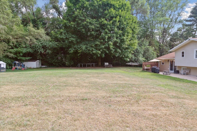 10999 M 140, Niles, MI 49120 - view of grassy yard with a shed and a patio area