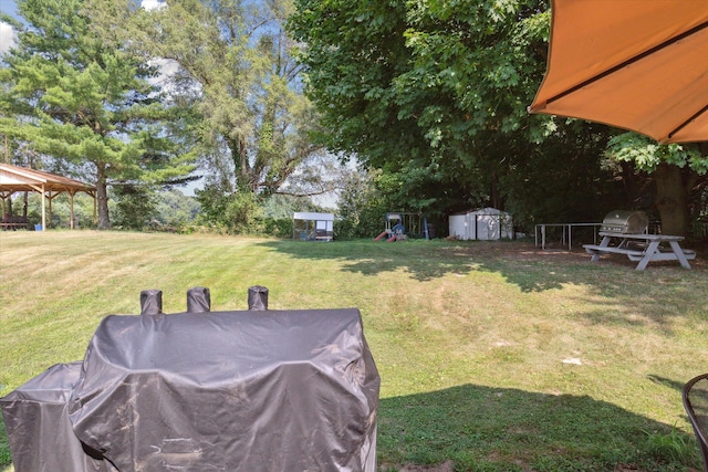 10999 M 140, Niles, MI 49120 - view of grassy yard with a storage unit