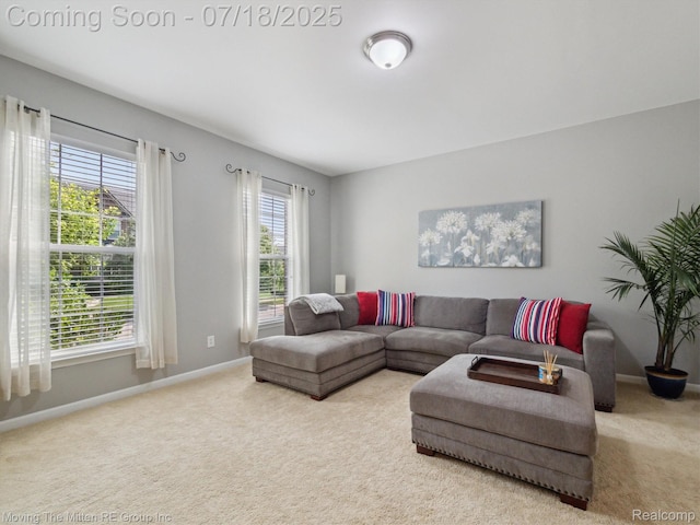 51218 High Meadow Crossing St, Canton, MI 48188 - photo 4