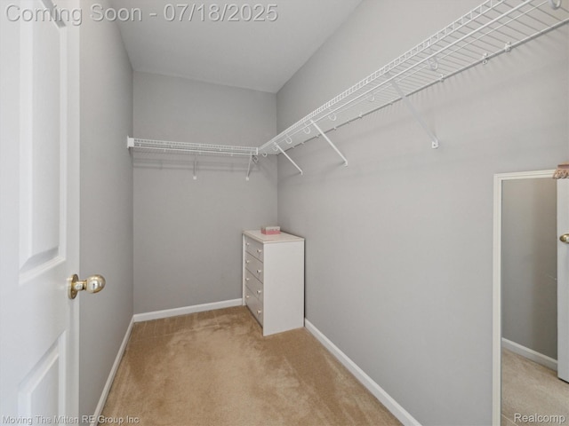 51218 High Meadow Crossing St, Canton, MI 48188 - photo 35