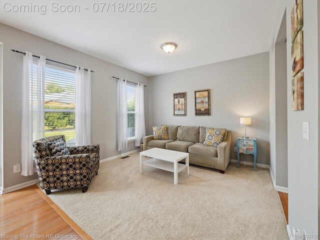 51218 High Meadow Crossing St, Canton, MI 48188 - photo 14