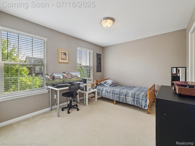 51218 High Meadow Crossing St, Canton, MI 48188 - photo 22