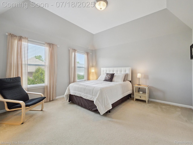 51218 High Meadow Crossing St, Canton, MI 48188 - photo 18