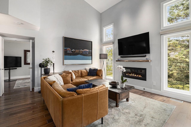 113 Ponds View Dr, Ann Arbor, MI 48103 - living area with high vaulted ceiling, wood finished floors, and a glass covered fireplace