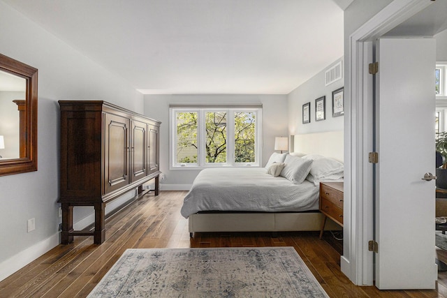 113 Ponds View Dr, Ann Arbor, MI 48103 - bedroom with multiple windows and dark wood-style flooring