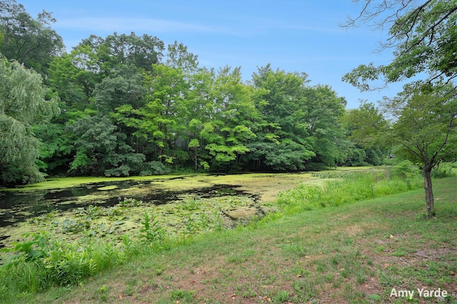 790 Simonson Dr, Saugatuck, MI 49453 - photo 15
