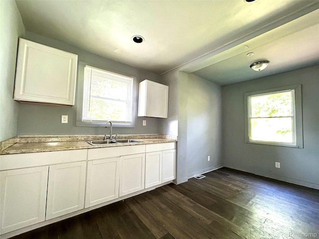 14869 Mark Twain St, Detroit, MI 48227 - kitchen with plenty of natural light, dark wood finished floors, white cabinets, and light countertops