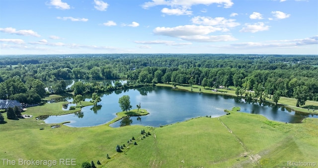 6264 Hidden Forrest, Swartz Creek, MI 48473 - aerial view of a forest and a nearby body of water