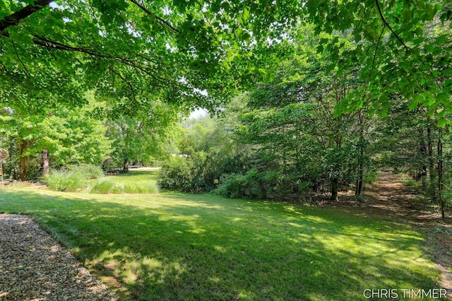 15528 James St, Holland, MI 49424 - photo 4