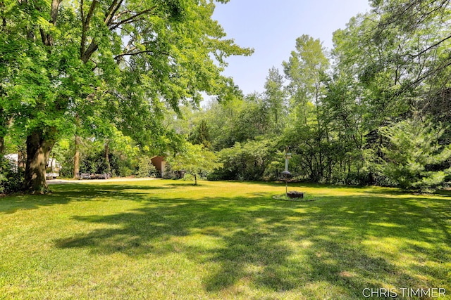 15528 James St, Holland, MI 49424 - photo 8