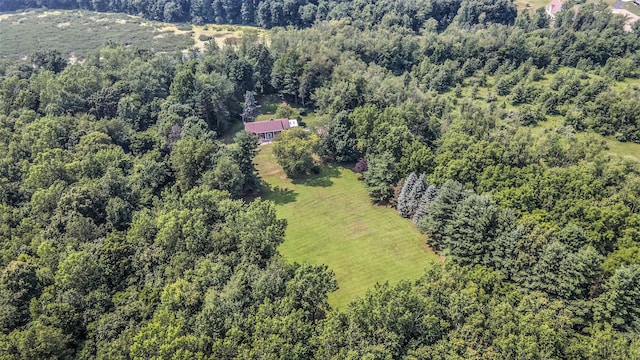 14763 Stone Jug Rd, Battle Creek, MI 49015 - photo 5