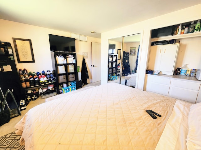 28740 Tavistock Trl, Southfield, MI 48034 - bedroom with multiple closets