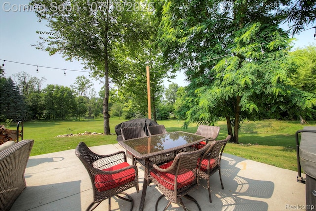 12644 Silver Lake Rd, Brighton, MI 48116 - photo 51