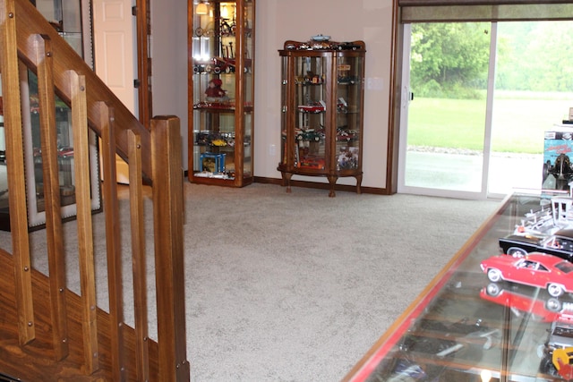 18196 Calvin Hill St, Cassopolis, MI 49031 - photo 43