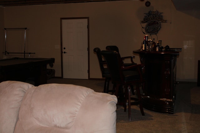 18196 Calvin Hill St, Cassopolis, MI 49031 - photo 47