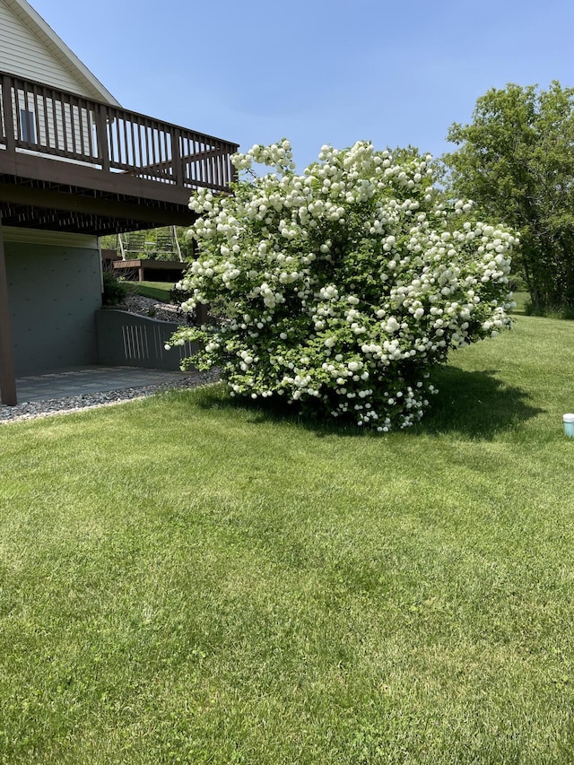 18196 Calvin Hill St, Cassopolis, MI 49031 - photo 56