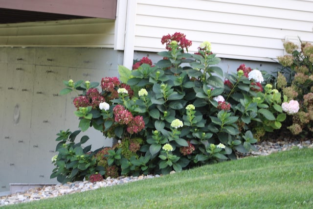 18196 Calvin Hill St, Cassopolis, MI 49031 - photo 57