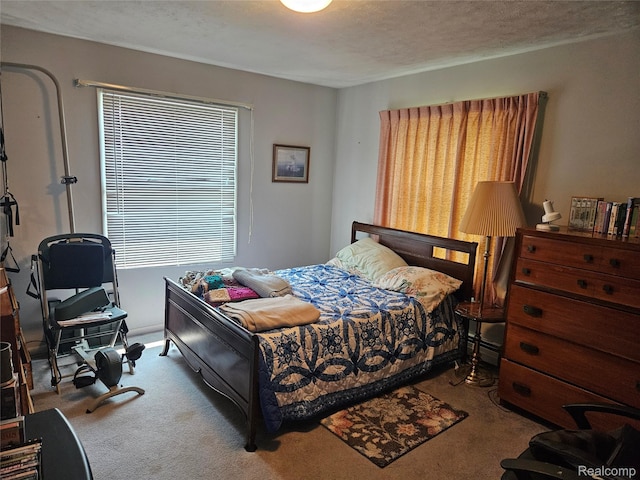 11873 Durand Rd, Howell, MI 48855 - photo 11