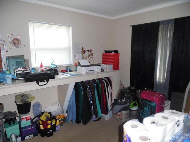 951-955 Bellevue Ave St, Jackson, MI 49202 - bedroom with carpet flooring and ornamental molding