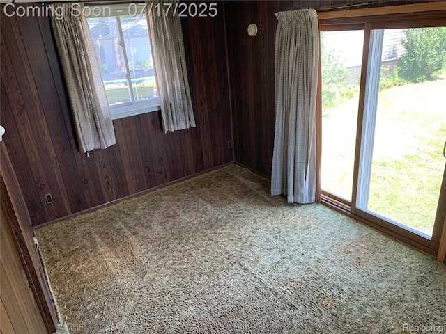 6455 Mayfair St, Taylor, MI 48180 - unfurnished room featuring carpet, wood walls, and healthy amount of natural light