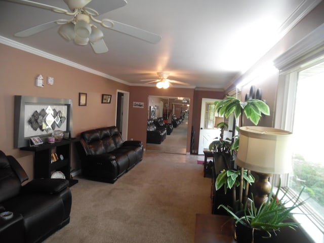 954 Concord Blvd, Jackson, MI 49202 - living area with ornamental molding, carpet floors, ceiling fan, and healthy amount of natural light