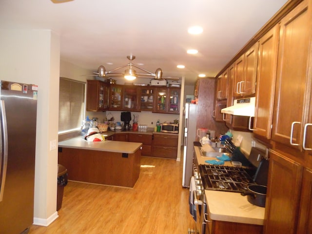 954 Concord Blvd, Jackson, MI 49202 - kitchen featuring appliances with stainless steel finishes, recessed lighting, under cabinet range hood, glass insert cabinets, and light wood-style flooring