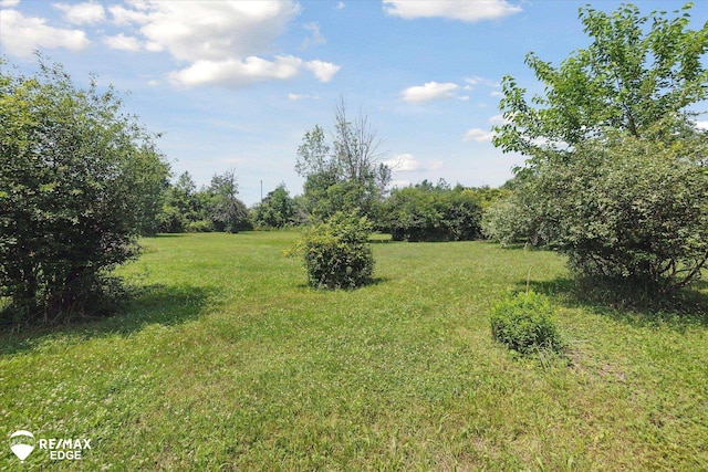 9009 N Bray Rd, Clio, MI 48420 - photo 32