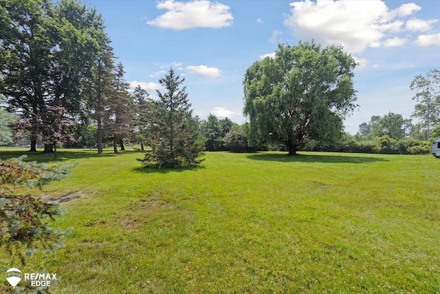 9009 N Bray Rd, Clio, MI 48420 - photo 33