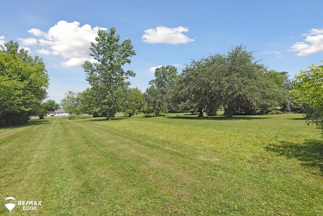 9009 N Bray Rd, Clio, MI 48420 - photo 36