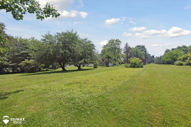 9009 N Bray Rd, Clio, MI 48420 - photo 34