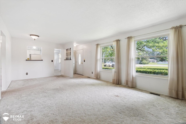 9009 N Bray Rd, Clio, MI 48420 - photo 5