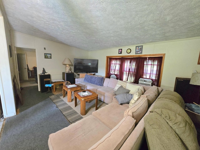 710 Ewing Rd, Lawton, MI 49065 - photo 9
