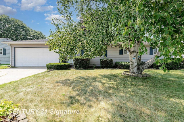 225 Johnson St, Freeland, MI 48623 - photo 18