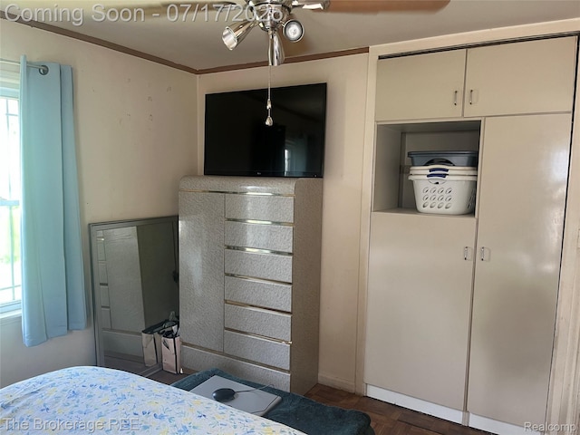 22035 Scotia Rd, Oak Park, MI 48237 - photo 7