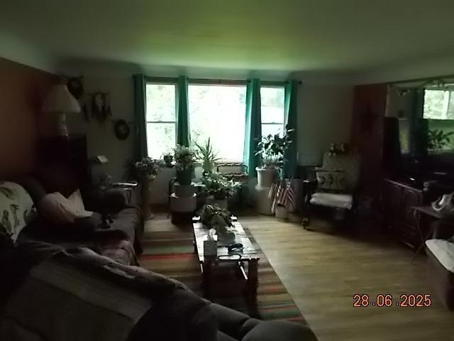 3894 Vandekarr Rd, Owosso, MI 48867 - living room with wood finished floors