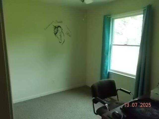 3894 Vandekarr Rd, Owosso, MI 48867 - view of carpeted office space