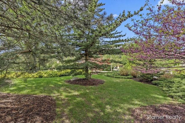 30 College Ave SE Unit 46, Grand Rapids, MI 49503 - photo 27