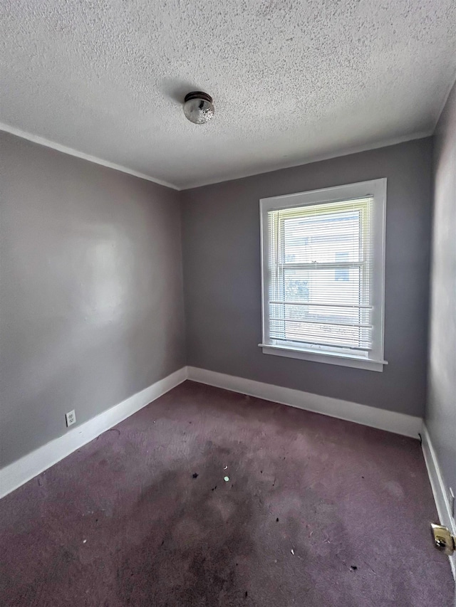 925 Cleo St, Lansing, MI 48915 - photo 11