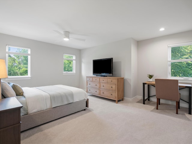 1622 Fulmer St, Ann Arbor, MI 48103 - photo 20