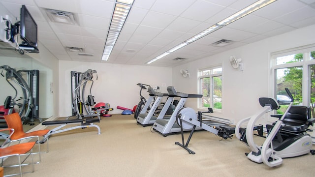 827 Asa Gray Dr Unit 257, Ann Arbor, MI 48105 - gym featuring carpet floors and a paneled ceiling
