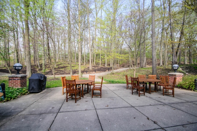 827 Asa Gray Dr Unit 257, Ann Arbor, MI 48105 - view of patio with outdoor dining area and grilling area